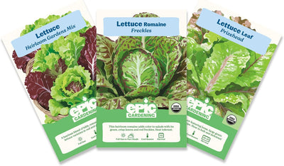 Paquete semillas lechuga 3 variedades sin OMG para ensaladas