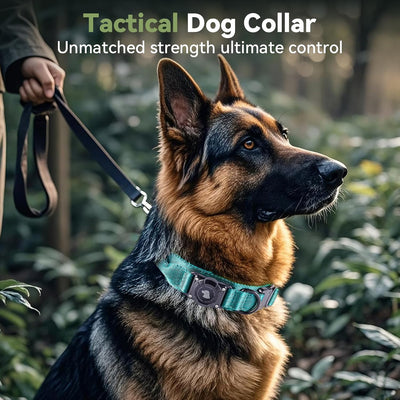 Collar perro Airtag impermeable táctico con soporte GPS