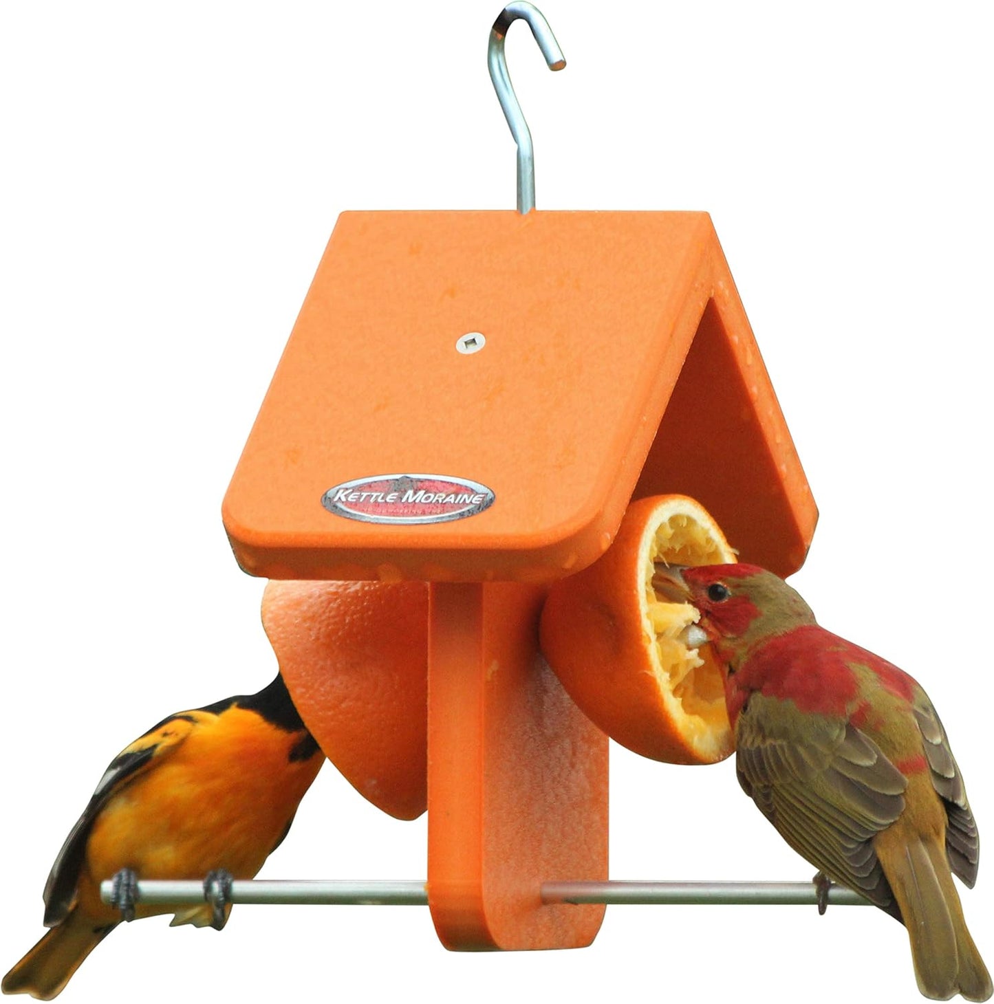 Alimentador frutas naranja reciclado