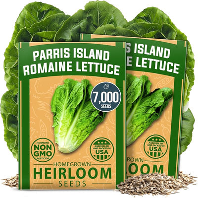 Semillas lechuga romana 7000uds paquete granel germinación alta