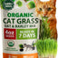 Mezcla orgánica semillas hierba gato 4oz maceta interior
