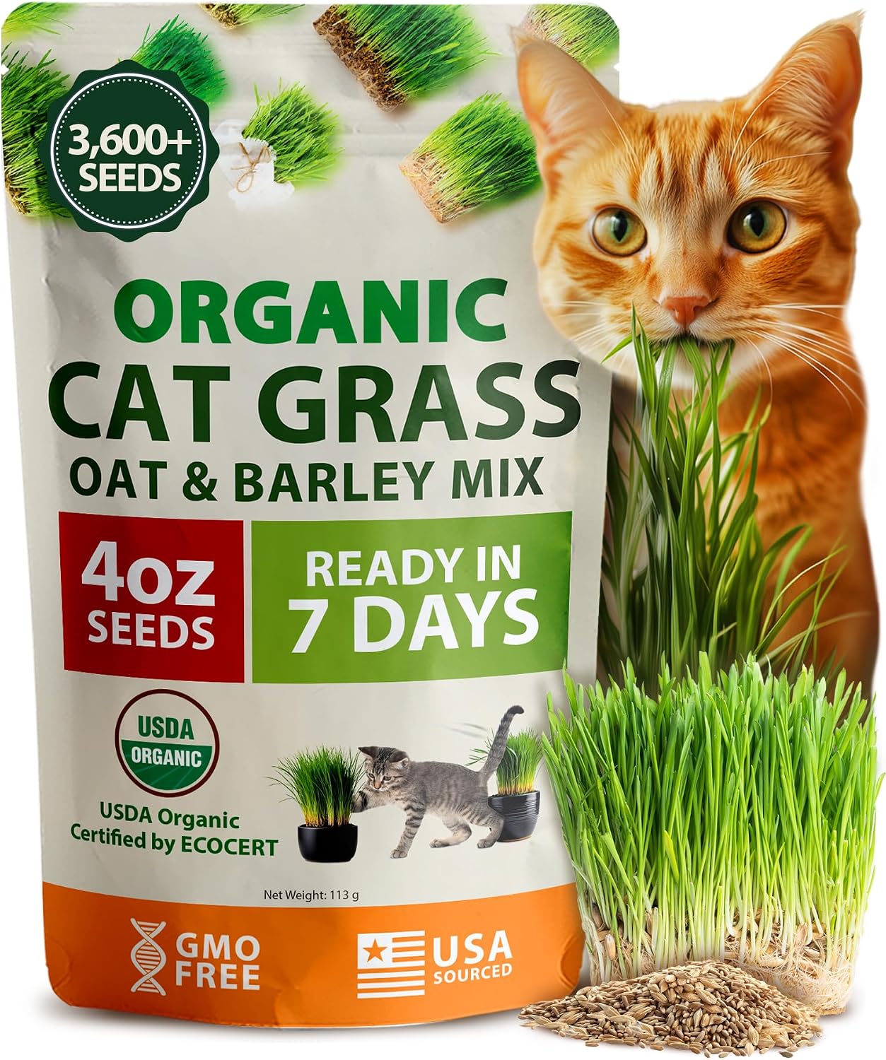 Mezcla orgánica semillas hierba gato 4oz maceta interior