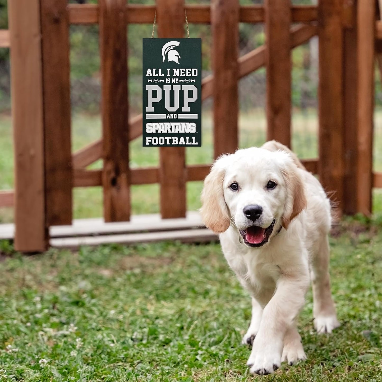 Letrero NCAA Michigan State Spartans PUP Football Yard Sign