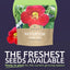 Paquete 200 semillas Tropaeolum majus 1oz