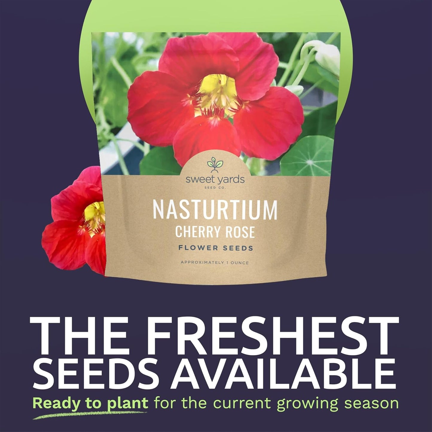 Paquete 200 semillas Tropaeolum majus 1oz