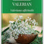 Semillas valeriana para plantar 500uds sin OMG jardín