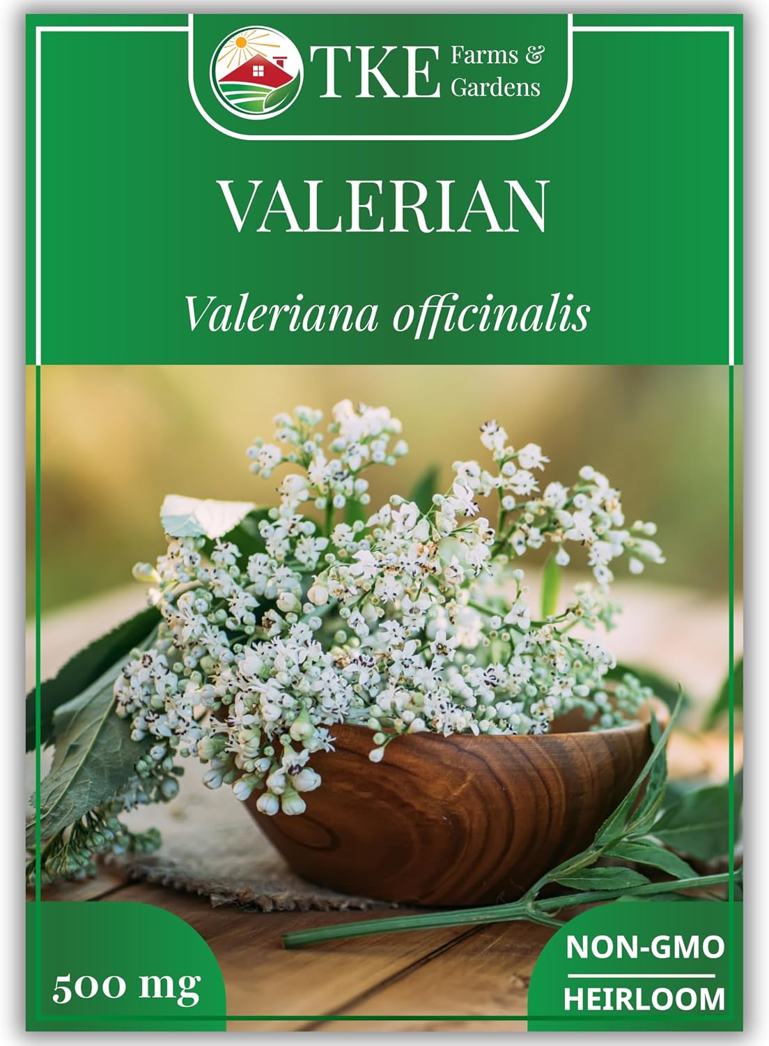 Semillas valeriana para plantar 500uds sin OMG jardín