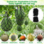 Hamaca melón sandía 12uds soporte jardín bolsa colgante negro