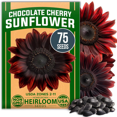 Semillas girasol cereza chocolate 75 unidades flor alta jardín