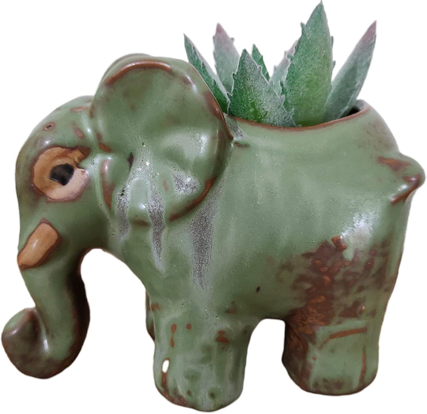 Maceta cerámica elefante dibujos animados suculentas