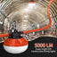 Tira luces LED construcción 200 ft 20000lúmenes 20 enchufes