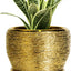 Maceta cerámica 6" redonda drenaje decoración hogar dorado