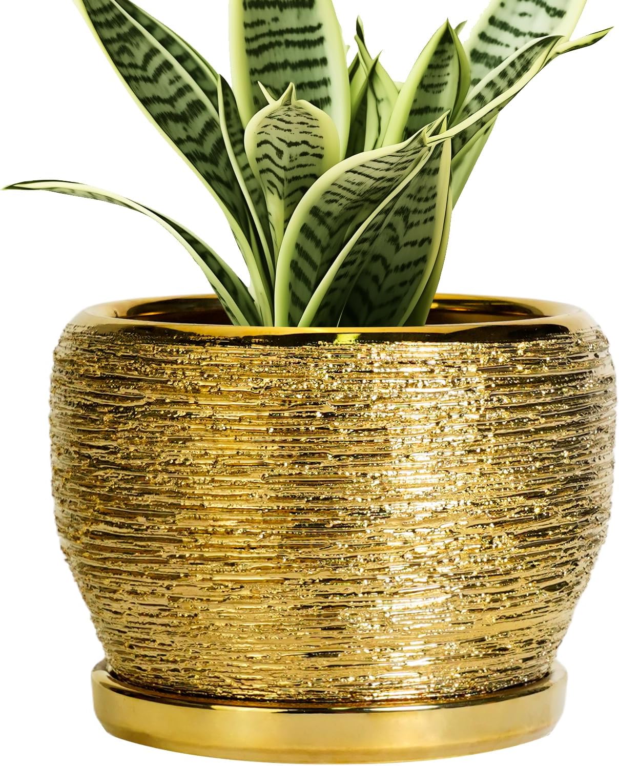 Maceta cerámica 6" redonda drenaje decoración hogar dorado