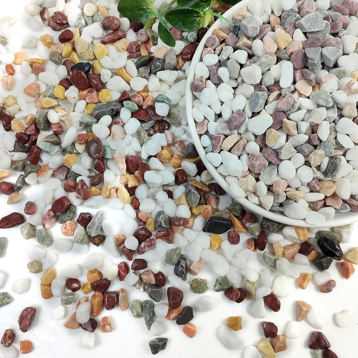 Piedras colores mixtos para cactus suculentas 2lb