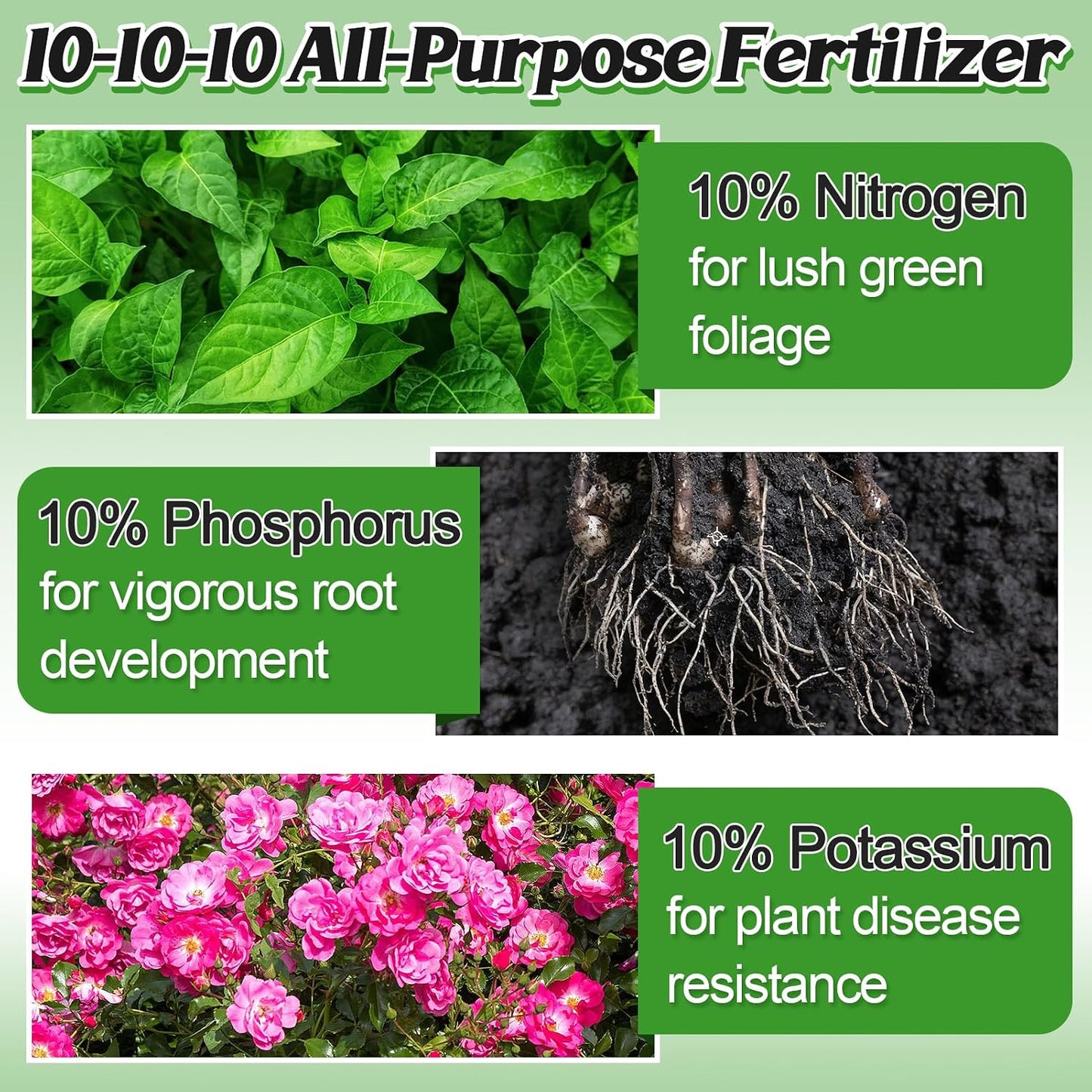 Fertilizante 10-10-10 liberación lenta para jardinería 1qt