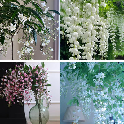 Semillas jazmín trepador perenne para jardín balcón