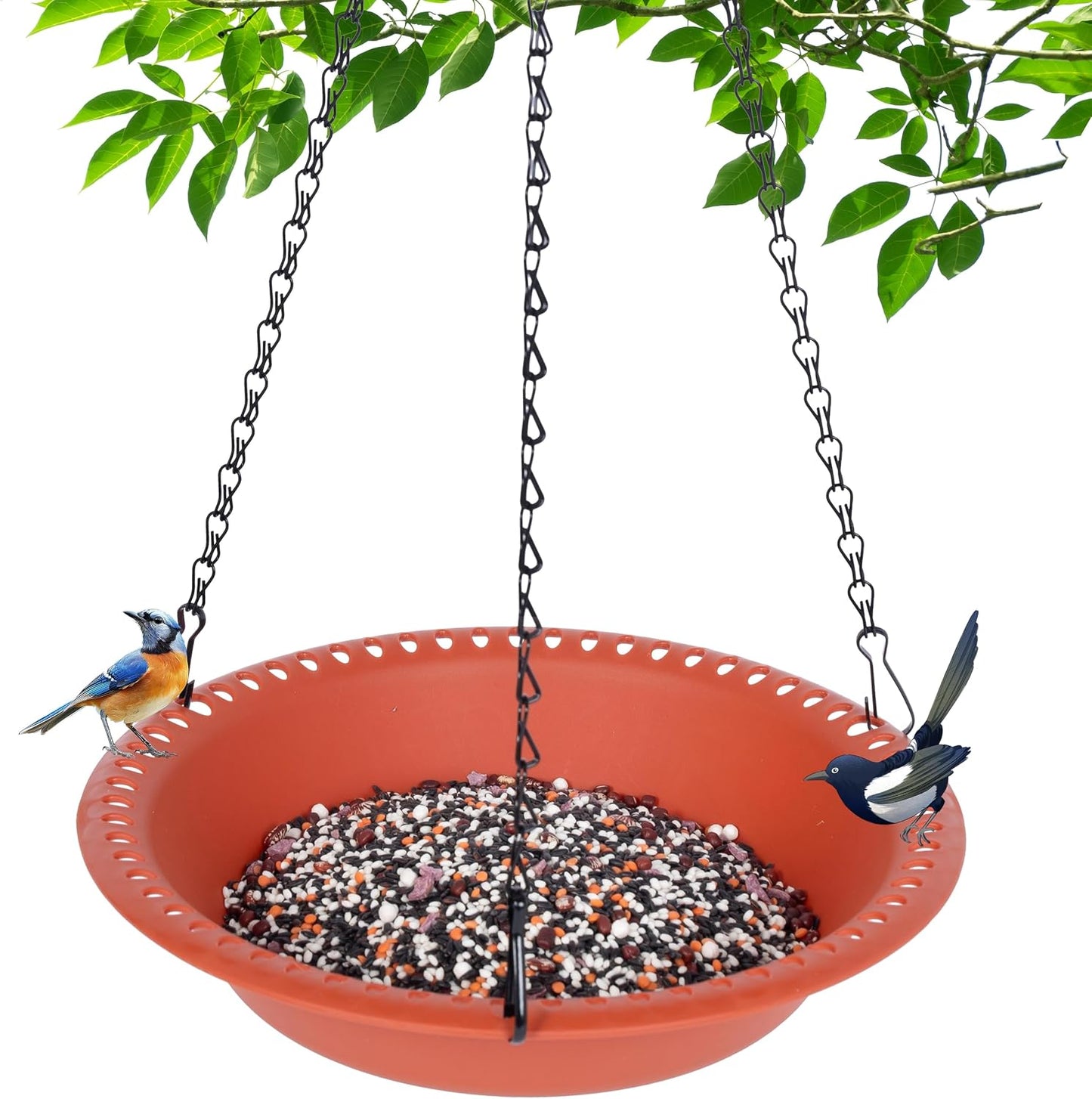 Bandeja colgante comedero pájaros 10pulg terracota drenaje