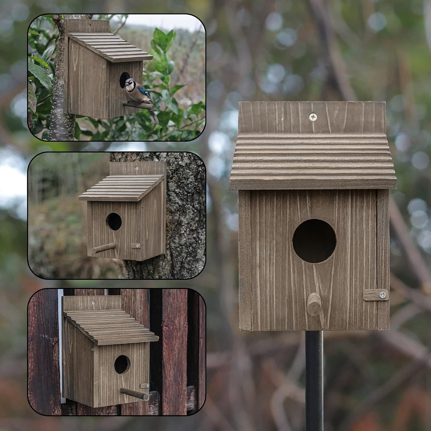 Casa pájaros exterior con protector depredadores azul rey