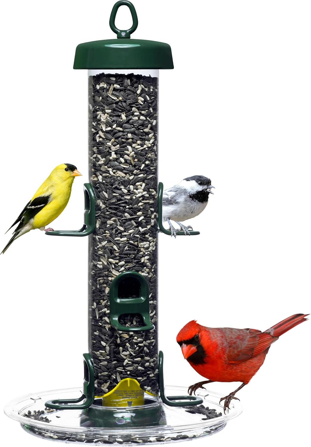 200 Comederos Pájaros Metal 6 Puertos 3.4lb