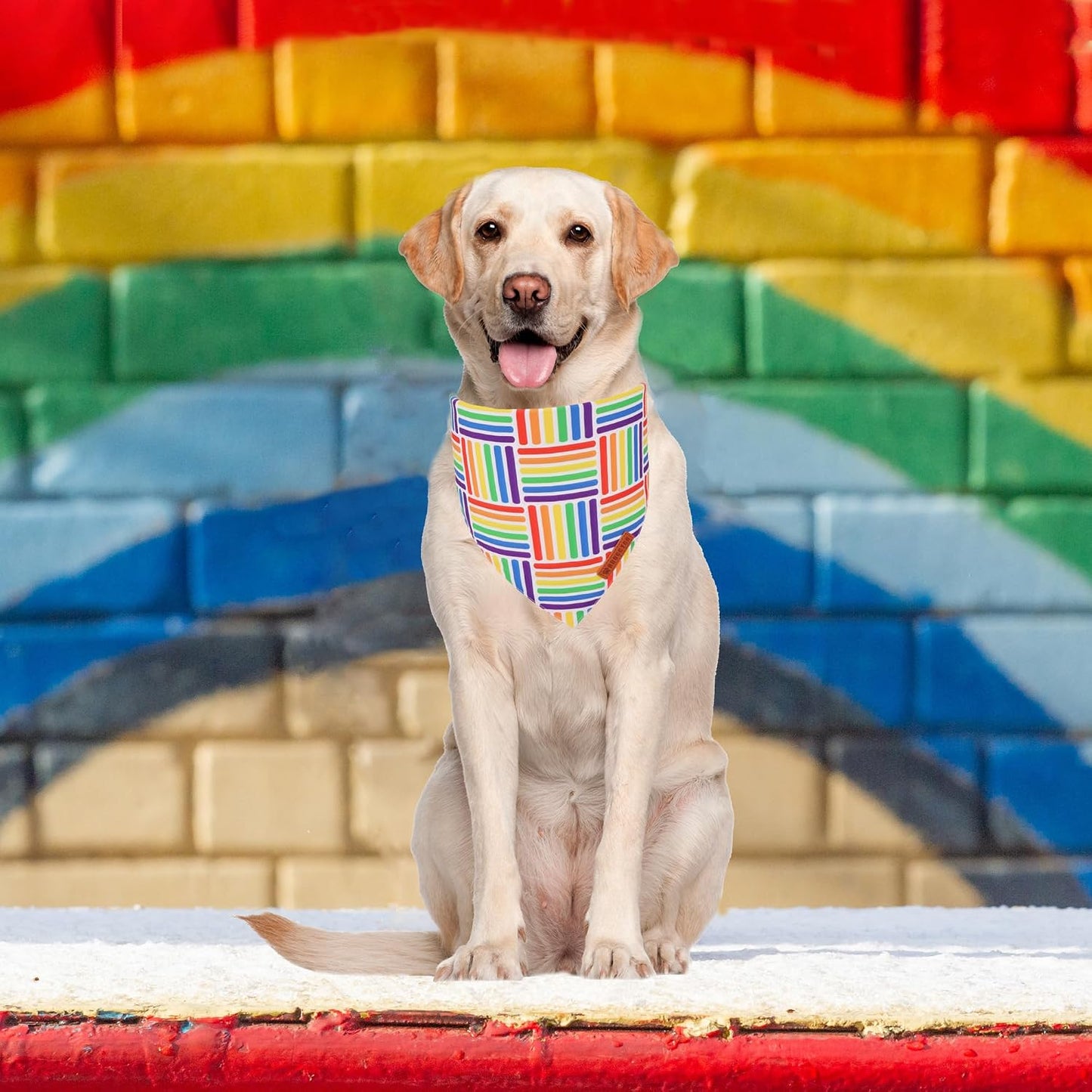 Bandana arco iris para perros medianos y grandes
