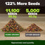 20 Semillas Verduras Autóctonas Sin OMG para Jardín