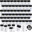 60 Botellas Pintura Retoque con Cepillo 2oz y 1oz Plástico