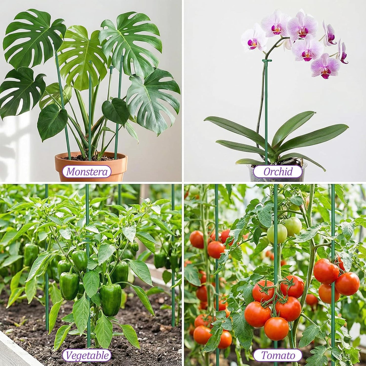Pack 20 estacas ajustables soporte plantas orquídeas tomate rosas