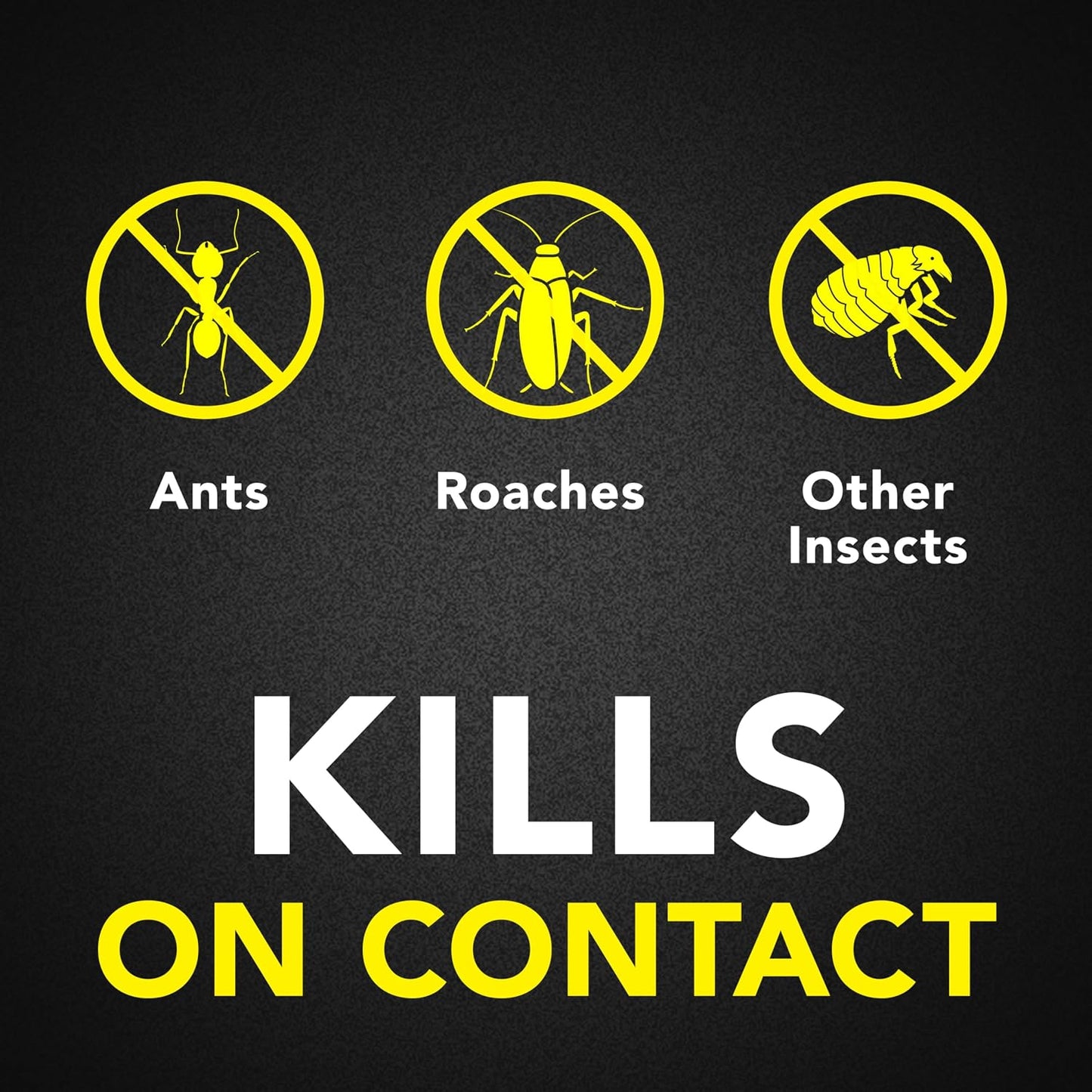 Spray Raid Ant Roach Killer sin fragancia 17.5oz pack 2