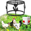 Soporte metal comedero pollos resistente negro 1 pza