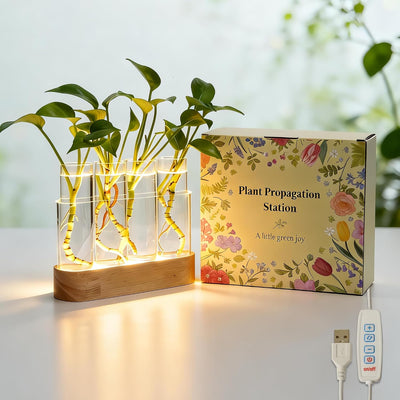 Estación propagación plantas luces LED 4 tubos vidrio 3 modos