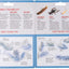 Kit pesca familiar plásticos blandos Live Flex