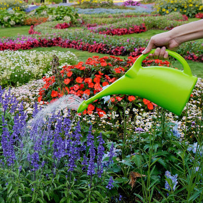 Regadera interior con cabezal ducha 1/2gal verde
