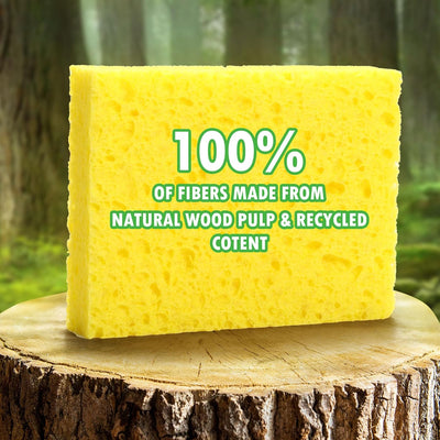 12 Pzas Esponjas Celulosa Compostables 18X Absorbentes