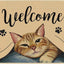 Tapete bienvenida gato antiderrap 29x17"