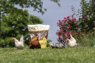 Alimento multigrano para pollos y gallinas ponedoras
