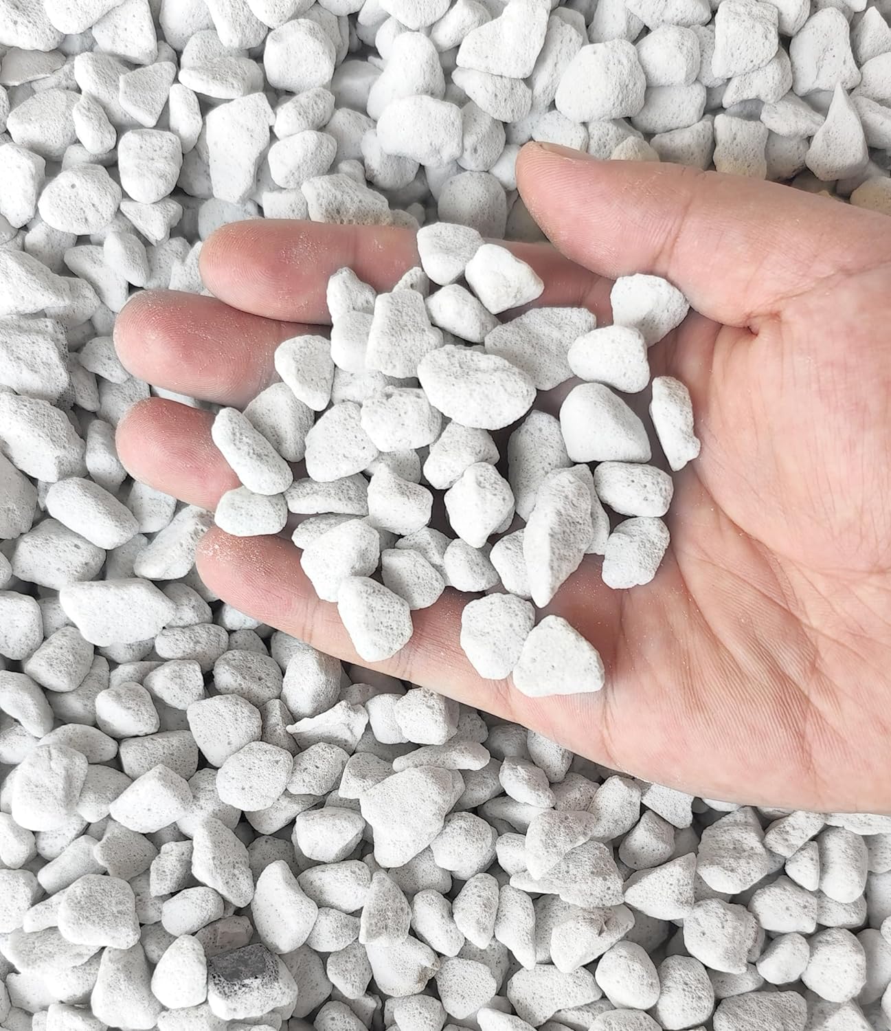 Perlita hortícola grado profesional 5qt tamaño grande