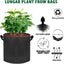 Bolsas cultivo 2gal pack 10 con asas tela resistente
