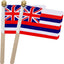 Bandera Hawaii madera 5x8pulg set 12