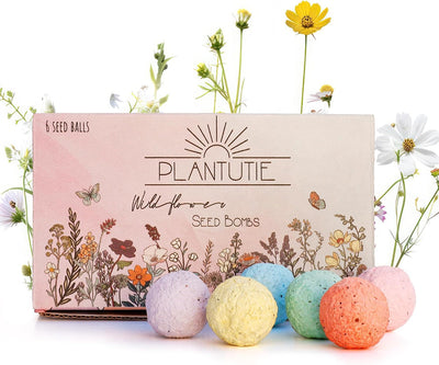 Caja regalo semillas flores silvestres 6 bolas coloridas