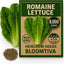 Semillas lechuga romana Parris Island Cos 8000 alta germinación