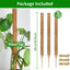 3 Postes Musgo 26.8pulg Soporte Plantas Trepadoras