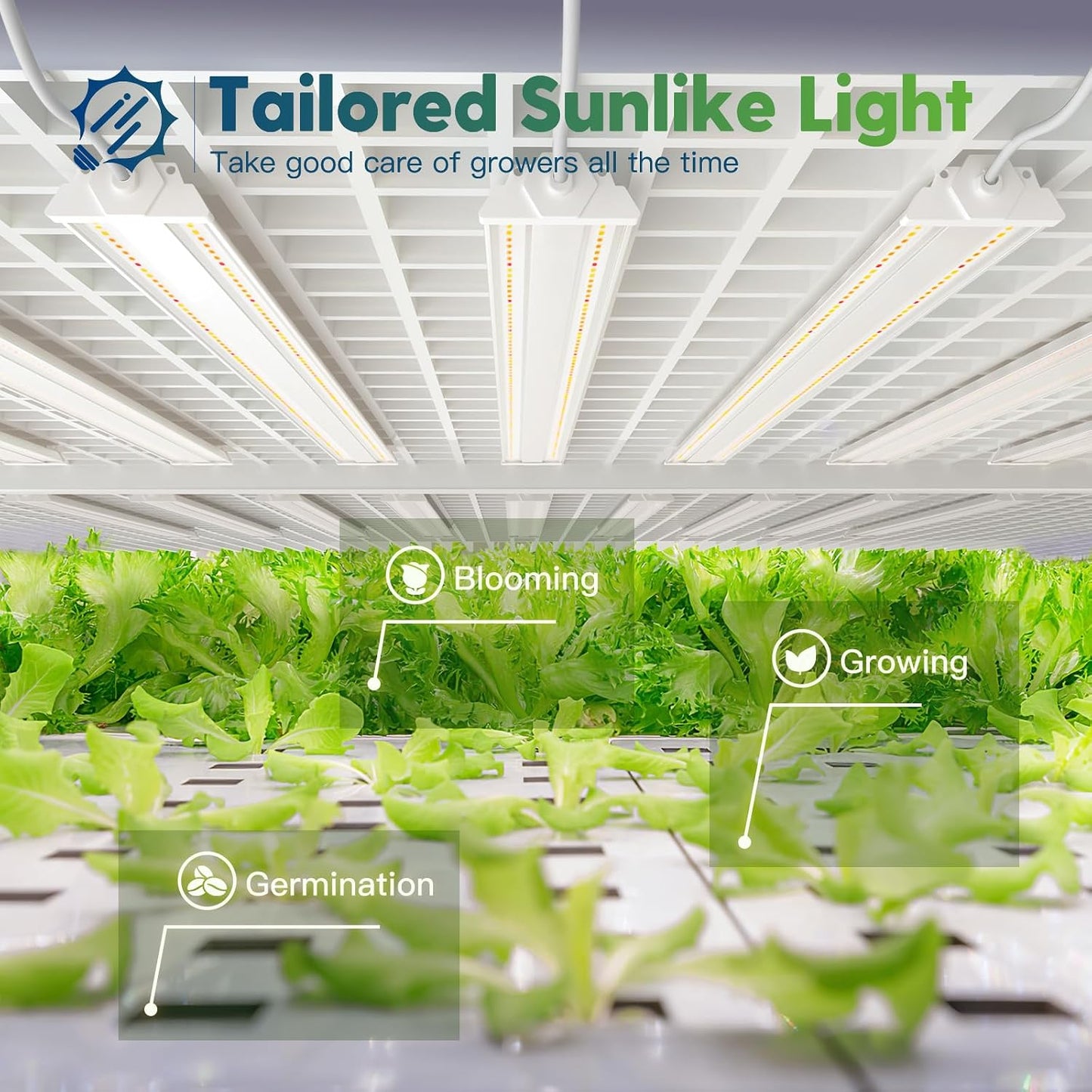 4 Luces LED Cultivo 60W 4pies Espectro Completo Interior