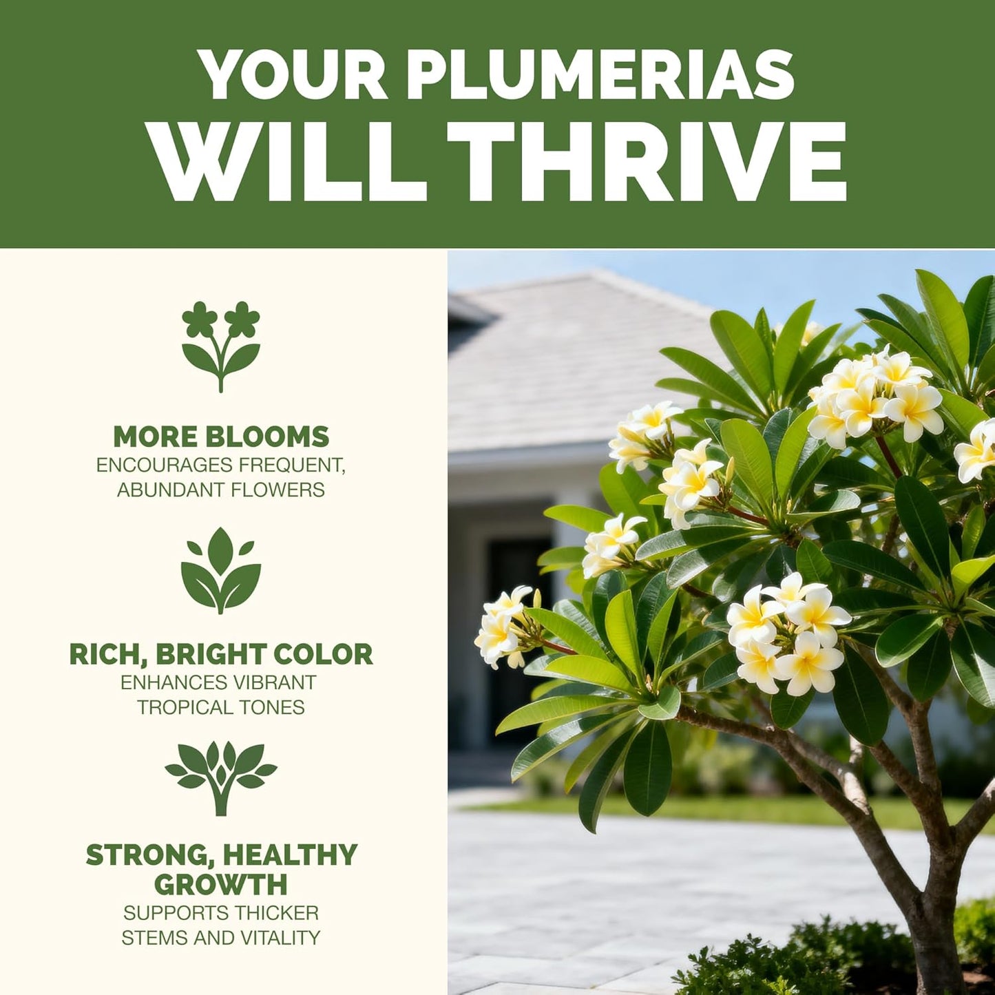 Fertilizante líquido para plumeria y plantas tropicales 8oz