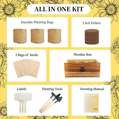 Kit cultivo flores alféizar con tierra coco y semillas