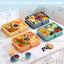 Contenedores Bento reutilizables para adultos y niños, paquete de 4