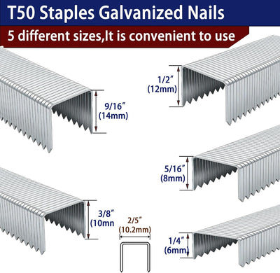 20 Grapas Galvanizadas T-50 Paquete 5 Tamaños Surtidos 1/4-9/16pulg