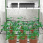Red Scrog Elástica 2x4 para Carpa Cultivo Plantas