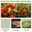 Malla para jardín protege plantas camas elevadas patio ventanas