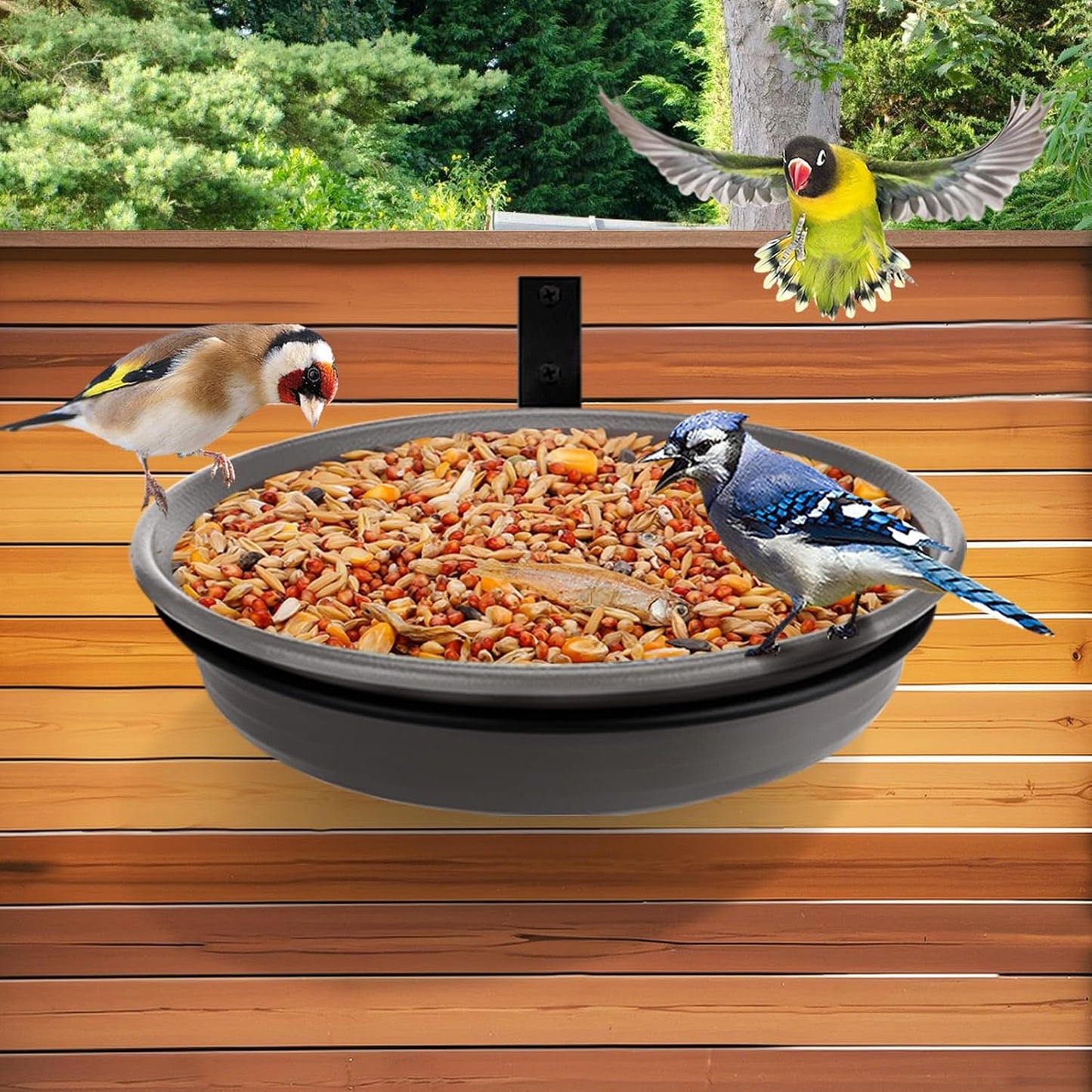 Bandeja comederos pájaros exterior anillo hierro gris 8.3"