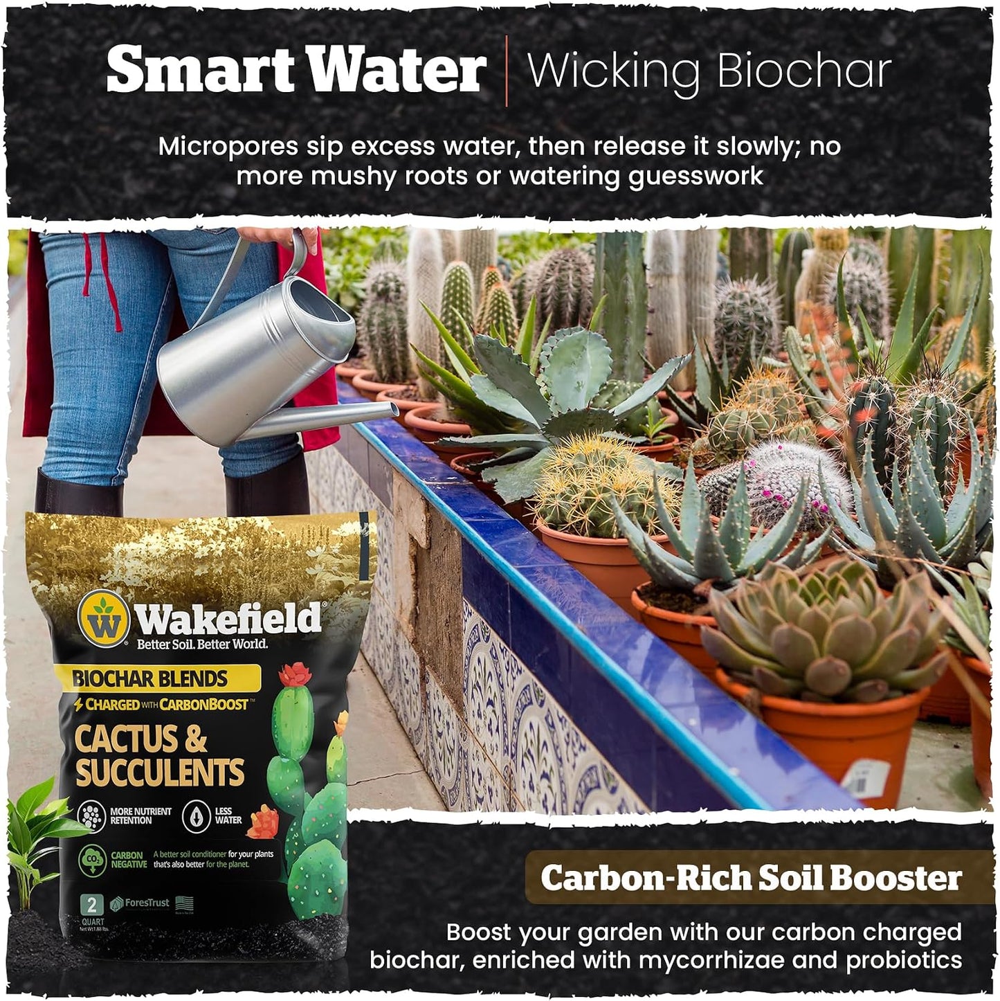 Mezcla tierra para cactus y suculentas con CarbonBoost